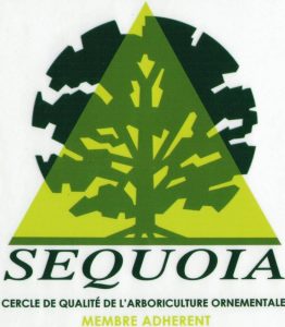 logo-sequoia-compressy-56
